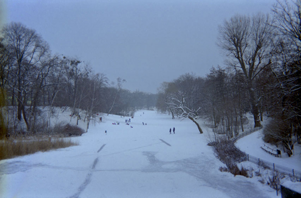 Schneelandschaft